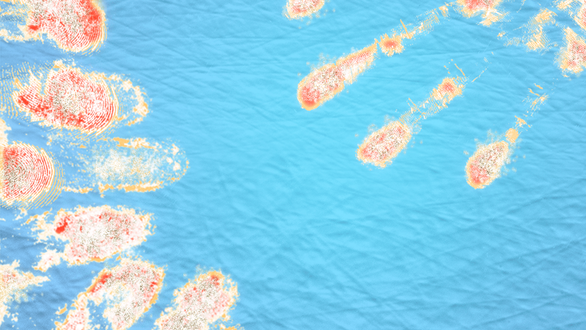 Test uderzeniowy bez LAMILUX AntiBac Test uderzeniowy bez LAMILUX AntiBac