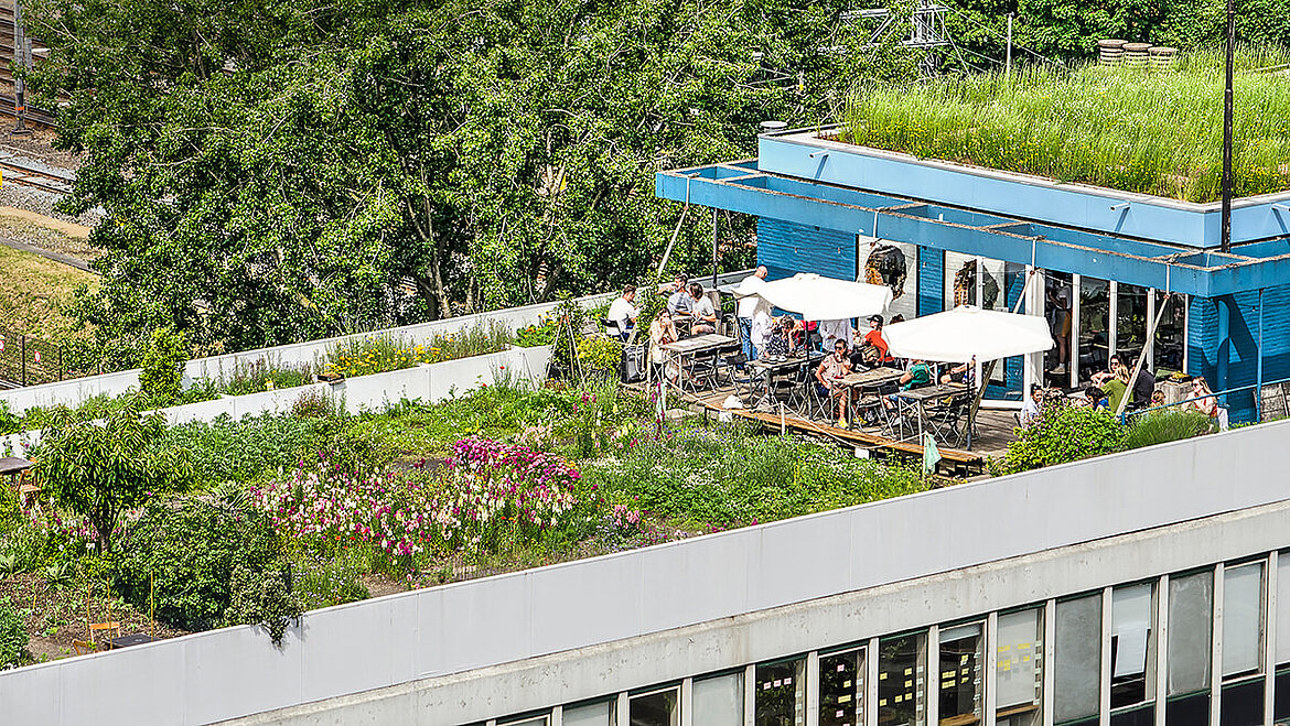 Zielony, płaski dach – na przykład: ogrody Zielony, płaski dach – na przykład: ogrody