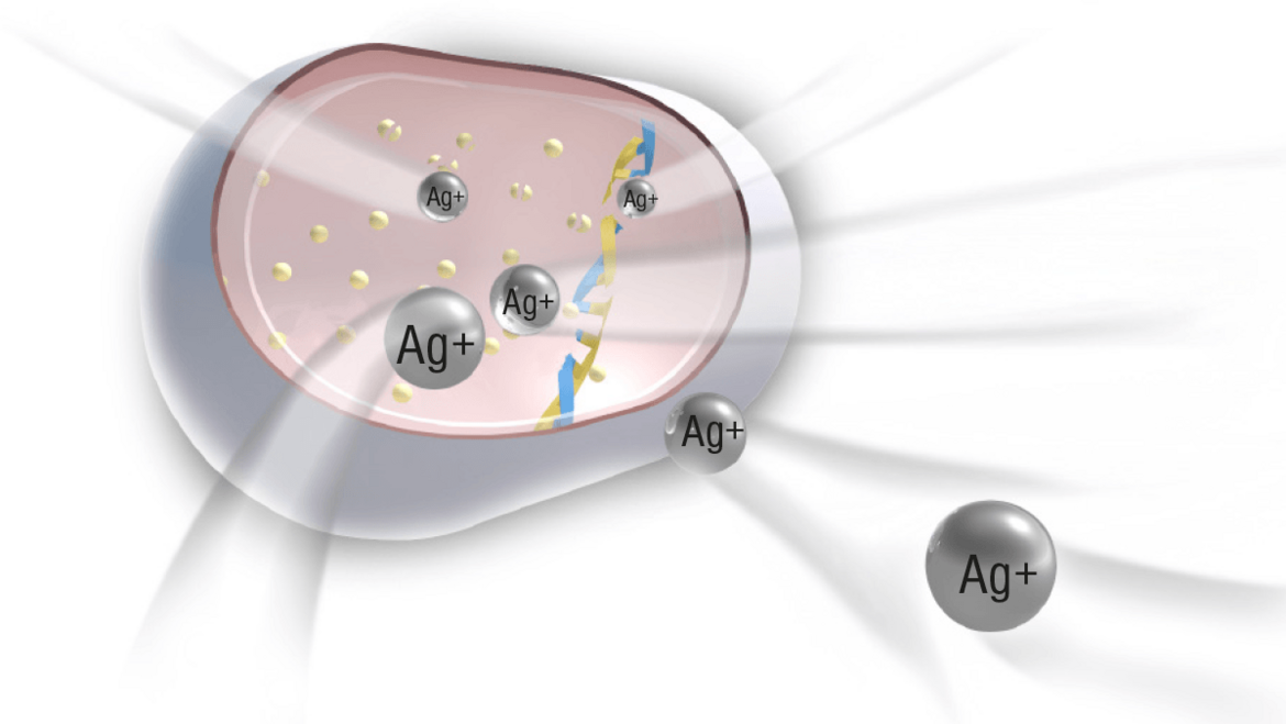 Ionen zerstören Bakterium Ionen zerstören Bakterium